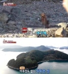 동물농장 통영 무인도에 버려진 견공 두 마리 구출…정선희 분통 | 세계일보 동물농장 통영 무인도에 버려진 견공 두 마리 구출…정선희 분통