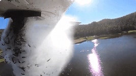 하늘에서 물고기가 비처럼 내려와...美 유타주, 비행기로 물고기 방생 [영상] | 세계일보 하늘에서 물고기가 비처럼 내려와...美 유타주, 비행기로... 