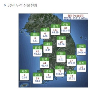 또 산불이… 밀양 ‘3단계’, 진화시간 24∼48시간 예상 | 세계일보 또 산불이… 밀양 ‘3단계’, 진화시간 24∼48시간 예상