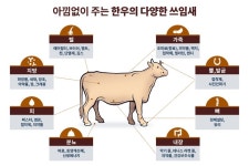 한우의 쓰임새, 어디까지 알고 있소? | 세계일보 한우의 쓰임새, 어디까지 알고 있소?