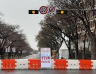 “벚꽃 피지도 않았는데 축제? 말이 되나”…상인들 ‘죽을 맛’... 세계일보 “벚꽃 피지도 않았는데 축제? 말이 되나”…상인들 ‘죽을 맛’... 