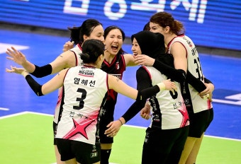 정관장, 외인 선수와 재계약 논의 중... 외인 쌍포와 이별하며 새로운 도전 준비중