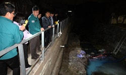 안산천에 수성페인트 20ℓ 유출…추적해보니 가정집에서 버려 | 세계일보 안산천에 수성페인트 20ℓ 유출…추적해보니 가정집에서 버려