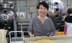 줄기세포 기술로… 수령 150년 산삼 “심봤다” | 세계일보 줄기세포 기술로… 수령 150년 산삼 “심봤다”