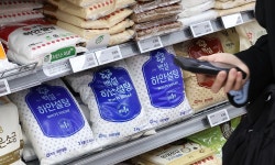 담뱃세처럼 설탕세?…李 대통령 언급에 도입 논란 불붙을까 | 세계일보 담뱃세처럼 설탕세?…李 대통령 언급에 도입 논란 불붙을까
