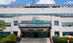 무단 조성 파크골프장 주변 가로수 7그루에 제초제 주입한 60대 | 세계일보 무단 조성 파크골프장 주변 가로수 7그루에 제초제 주입한 60대