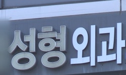 '지방흡입 수술' 20대 중국인 숨지게 한 성형외과 원장 재판행 | 세계일보 '지방흡입 수술' 20대 중국인 숨지게 한 성형외과 원장 재판행