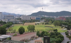 용산공원 주택공급 두고 '평행선'…개발 판도 변화 예고 | 세계일보 용산공원 주택공급 두고 '평행선'…개발 판도 변화 예고