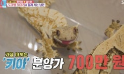 윤석민, 도마뱀 50마리와 함께 산다…