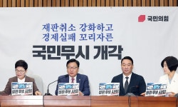 국힘 