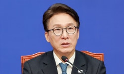김민석, DMZ지뢰사고에 