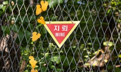 유엔사도 “MDL 이남 북한군 지뢰, 정전협정 위반”… 北 “韓 자작극” | 세계일보 유엔사도 “MDL 이남 북한군 지뢰, 정전협정 위반”… 北... 