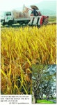 [HAPPY KOREA] (25) 남원시 대산면 ‘구름다리 마을’ | 서울신문 [HAPPY KOREA] (25) 남원시 대산면 ‘구름다리 마을’