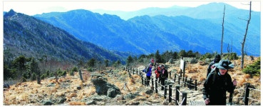 [진우석의 걷기좋은 산길] (11) 지리산 천왕봉~장터목 | 서울신문 [진우석의 걷기좋은 산길] (11) 지리산 천왕봉~장터목