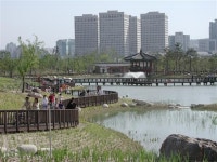 9일 개장 국내 최대 인공 ‘대전 한밭수목원’ 가보니… | 서울신문 9일 개장 국내 최대 인공 ‘대전 한밭수목원’ 가보니…