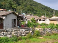 [Weekend inside] 출범 한 달…세종특별자치시 가 보니 | 서울신문 [Weekend inside] 출범 한 달…세종특별자치시 가 보니