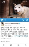 팥들었슈? 한국민속촌 ‘개 이름 공모전’ 인기 폭발 | 서울신문 팥들었슈? 한국민속촌 ‘개 이름 공모전’ 인기 폭발