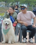 [서울신문] [포토] ‘우리 예쁘죠’… 반려견 미모 자랑 [포토] ‘우리 예쁘죠’… 반려견 미모 자랑