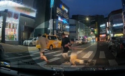 횡단보도에 멈춰 선 운전자 웃게 한 아이들 | 서울신문 횡단보도에 멈춰 선 운전자 웃게 한 아이들