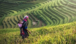 [강남순의 낮꿈꾸기] 사창가 모델, 농장 모델, 그래야 좋은 여자?… 일그러진 사회의 초상 | 서울신문 [강남순의 낮꿈꾸기] 사창가 모델, 농장 모델... 