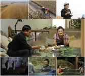 ‘아내의 맛’ 함소원♥진화, 中 시부모 10만평 농장 공개 ‘입이 떡’ | 서울신문 ‘아내의 맛’ 함소원♥진화, 中 시부모 10만평 농장 공개... 