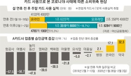 온라인·병원·약국만 카드매출 늘었다…‘코로나19 직격탄’ 1분기 역성장 우려 | 서울신문 온라인·병원·약국만 카드매출 늘었다... 
