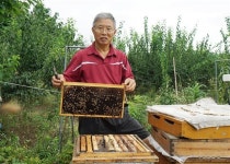 꿀벌처럼 준비하니… 인생2막, 꿀맛 같아 | 서울신문 꿀벌처럼 준비하니… 인생2막, 꿀맛 같아