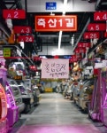 [서울포토]폐쇄된 가락몰 | 서울신문 [서울포토]폐쇄된 가락몰