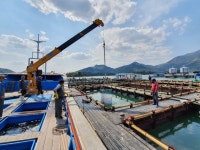 경남 수산업, 청·장년이 이끈다 | 서울신문 경남 수산업, 청·장년이 이끈다