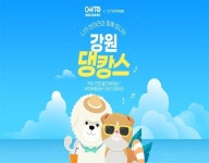 댕댕아 호텔 가자… 지자체들이 쏜대 | 서울신문 댕댕아 호텔 가자… 지자체들이 쏜대