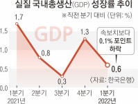 한은 “소비·투자 감소… 1분기 GDP 성장 속보치보다 0.1%P 둔화” | 서울신문 한은 “소비·투자 감소… 1분기 GDP 성장 속보치보다 0.1%P... 
