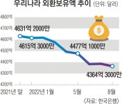 ‘킹달러’에 亞 외환보유액 뚝… “환율방어 능력 훼손” | 서울신문 ‘킹달러’에 亞 외환보유액 뚝… “환율방어 능력 훼손”