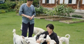 文의 풍산개 동물병원으로...김기현 “정말 쿨하게 버리신다” | 서울신문 文의 풍산개 동물병원으로...김기현 “정말 쿨하게 버리신다”