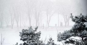 앞으로 ‘물폭탄’ 쏟아지면…기상청이 직접 재난 문자 보낸다 | 서울신문 앞으로 ‘물폭탄’ 쏟아지면…기상청이 직접 재난 문자 보낸다