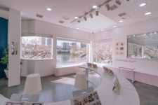 벚꽃과 전시회 컬래버…송파 ‘토끼의 정원展’ | 서울신문 벚꽃과 전시회 컬래버…송파 ‘토끼의 정원展’