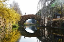봄빛 아래 꽃비… 흐드러지다, 그날의 우리 | 서울신문 봄빛 아래 꽃비… 흐드러지다, 그날의 우리