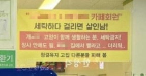 “걸리면 살인남” 고양이 빨래에 분노한 코인세탁소 주인 | 서울신문 “걸리면 살인남” 고양이 빨래에 분노한 코인세탁소 주인