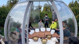 힐링피크닉 명소 된 제주 귤밭… 웰니스 관광지로 뜬다 | 서울신문 힐링피크닉 명소 된 제주 귤밭… 웰니스 관광지로 뜬다
