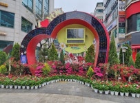 서림원예종묘, 산본로데오거리 철쭉정원 조성에 참여 | 서울신문 서림원예종묘, 산본로데오거리 철쭉정원 조성에 참여