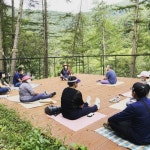 서울신문 검색 서울신문