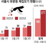 모기·팅커벨의 습격… 서울은 ‘벌레와의 전쟁’ | 서울신문 모기·팅커벨의 습격… 서울은 ‘벌레와의 전쟁’