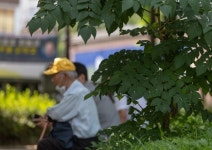 서울신문 검색 서울신문