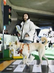 “멍집사 점수는요?” 반려인 능력시험 | 서울신문 “멍집사 점수는요?” 반려인 능력시험
