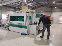 너무 빽빽해진 숲, 베어야 숨 쉰다 | 서울신문 너무 빽빽해진 숲, 베어야 숨 쉰다