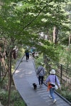 서울신문 검색 서울신문