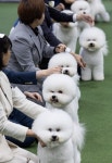 서울신문 검색 서울신문