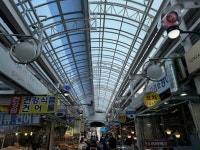 강서, 화곡본동시장에 ‘쿨링포그’ 설치 | 서울신문 강서, 화곡본동시장에 ‘쿨링포그’ 설치