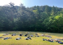 올여름 산사·수목원으로 ‘마음 피서’ 떠날까 | 서울신문 올여름 산사·수목원으로 ‘마음 피서’ 떠날까