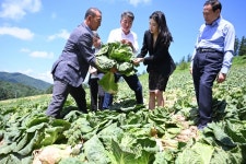 “고랭지밭 살리자”…농산물 지키기 프로젝트 | 서울신문 “고랭지밭 살리자”…농산물 지키기 프로젝트