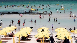 벌써 23일째… 다음주도 잠 못 이루는 서울의 밤 | 서울신문 벌써 23일째… 다음주도 잠 못 이루는 서울의 밤